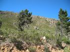 Plot For Sale in Mountain Side, Gordons Bay
