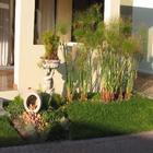 House For Sale in Fleur Park, Gordons Bay 